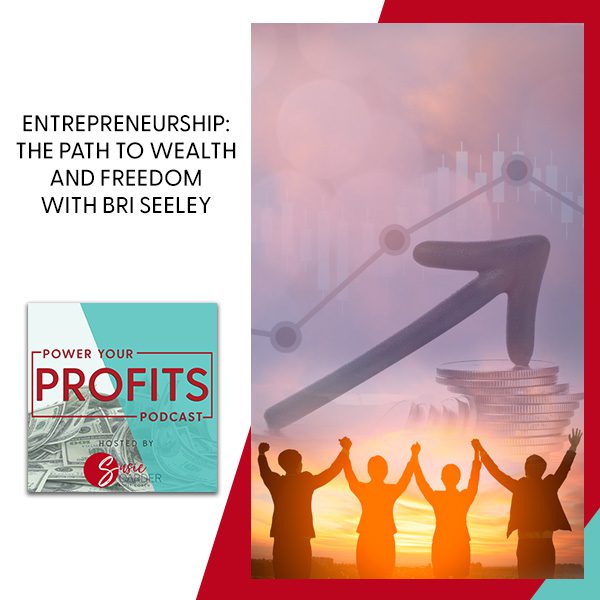 Entrepreneurship: The Path To Wealth And Freedom With Bri Seeley